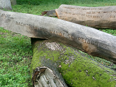 Jenny Holzer & Henri Cole, 2004