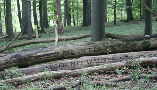 Jenny Holzer & Henri Cole, 2004