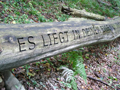 Jenny Holzer & Henri Cole, 2004 Jenny Holzer & Henri Cole, 2004