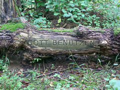 Jenny Holzer & Henri Cole, 2004