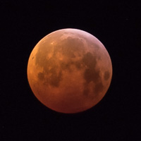 Blutmond Januar 2019 Blutmond Januar 2019