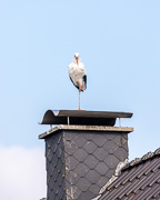 anzeigen