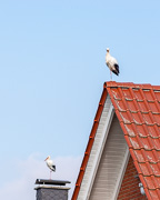anzeigen